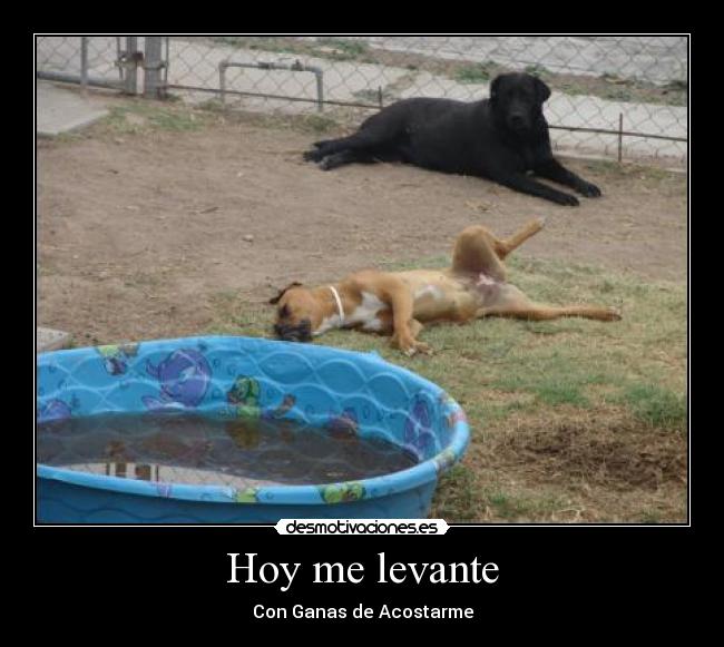 HOY ME LEVANTE LITO Y POLACO hoy me levante lito y polaco: