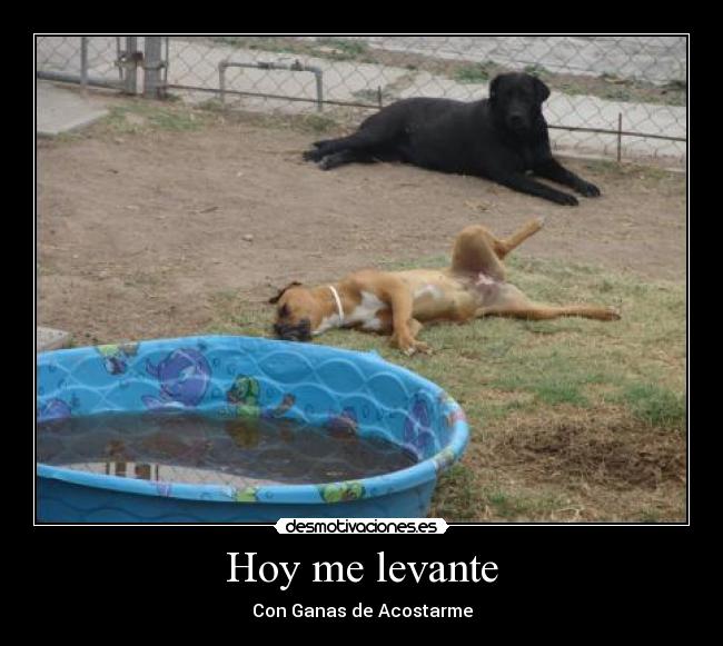 Hoy me levante - 