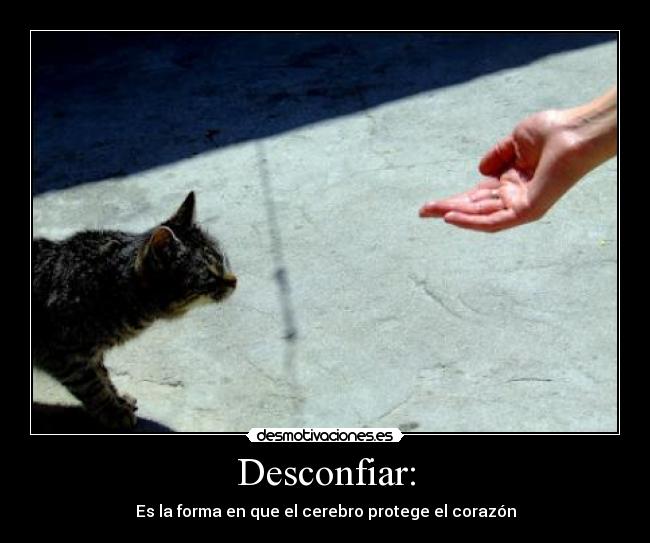 Desconfiar: -