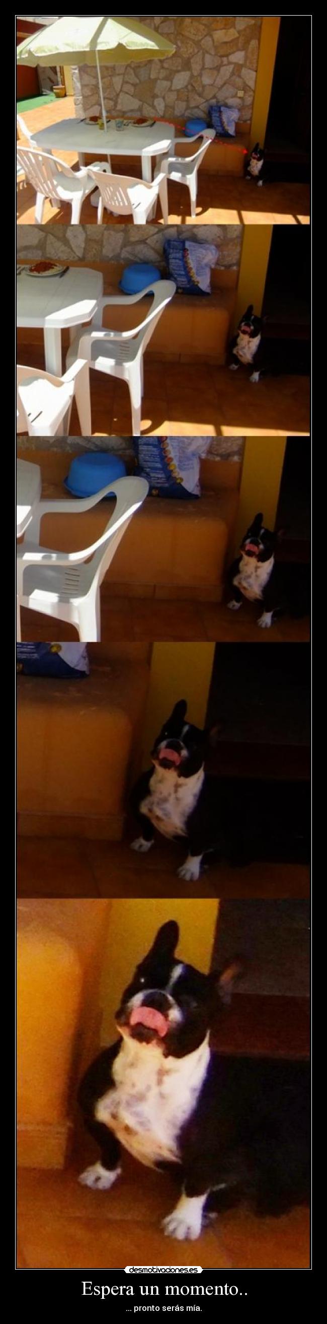 Espera un momento.. -