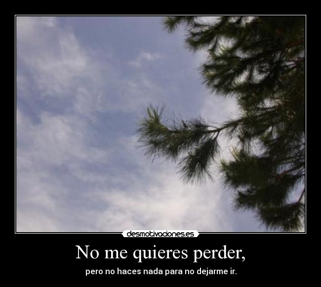 No me quieres perder, -