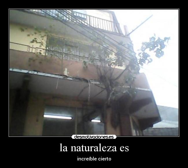 la naturaleza es - increíble cierto