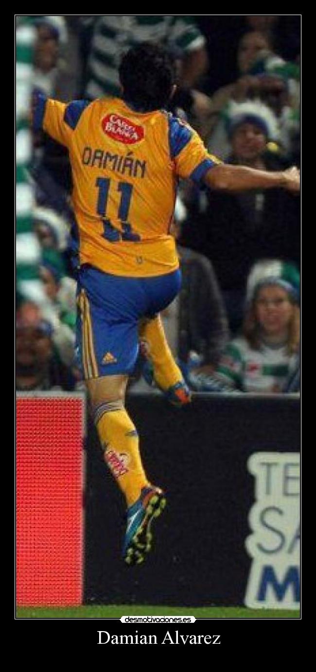 carteles tigres desmotivaciones