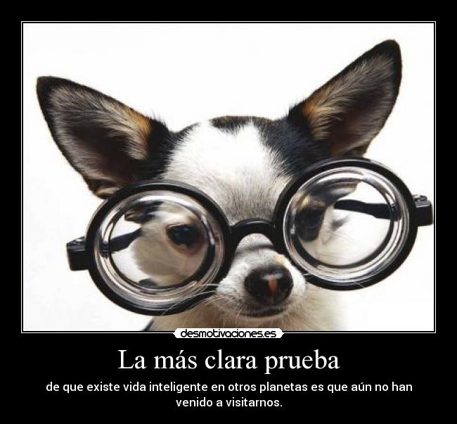 La más clara prueba -