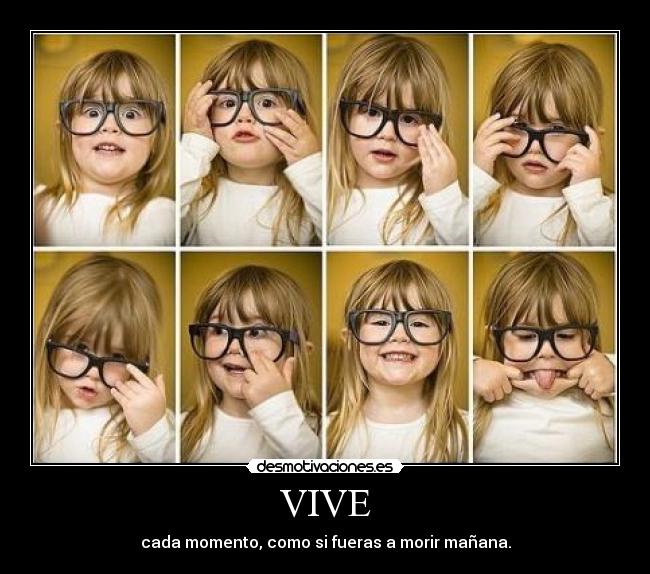 VIVE -