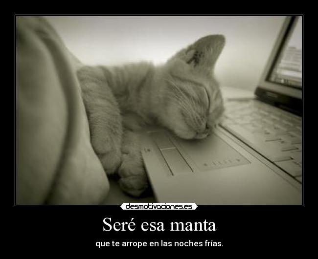 Seré esa manta - que te arrope en las noches frías.