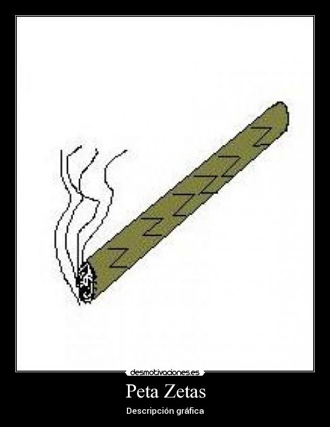 Peta Zetas - Descripción gráfica
