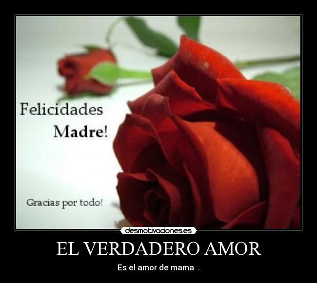 carteles amor votala desmotivaciones