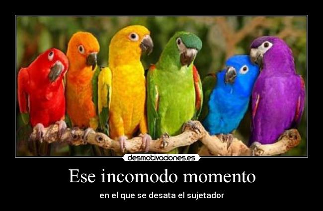 Ese incomodo momento - 