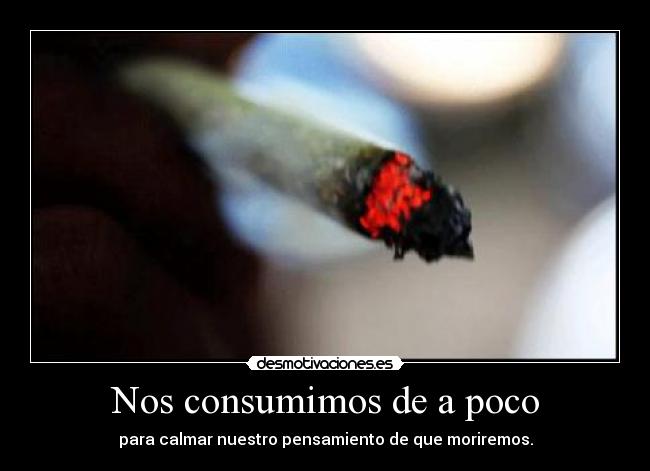 Nos consumimos de a poco - 