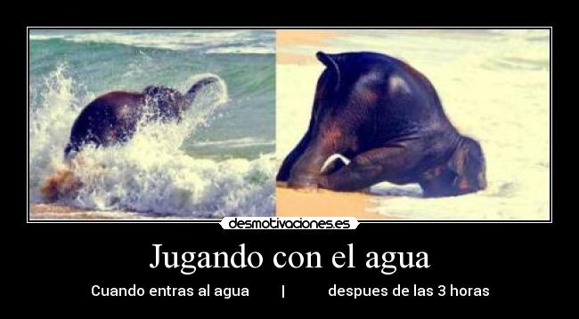 Jugando con el agua -
