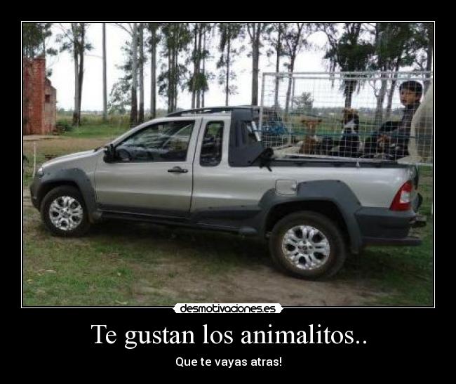 Te gustan los animalitos.. - Que te vayas atras!