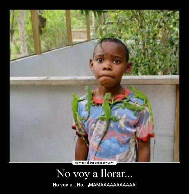 No voy a llorar... - No voy a... No... ¡MAMAAAAAAAAAAA!