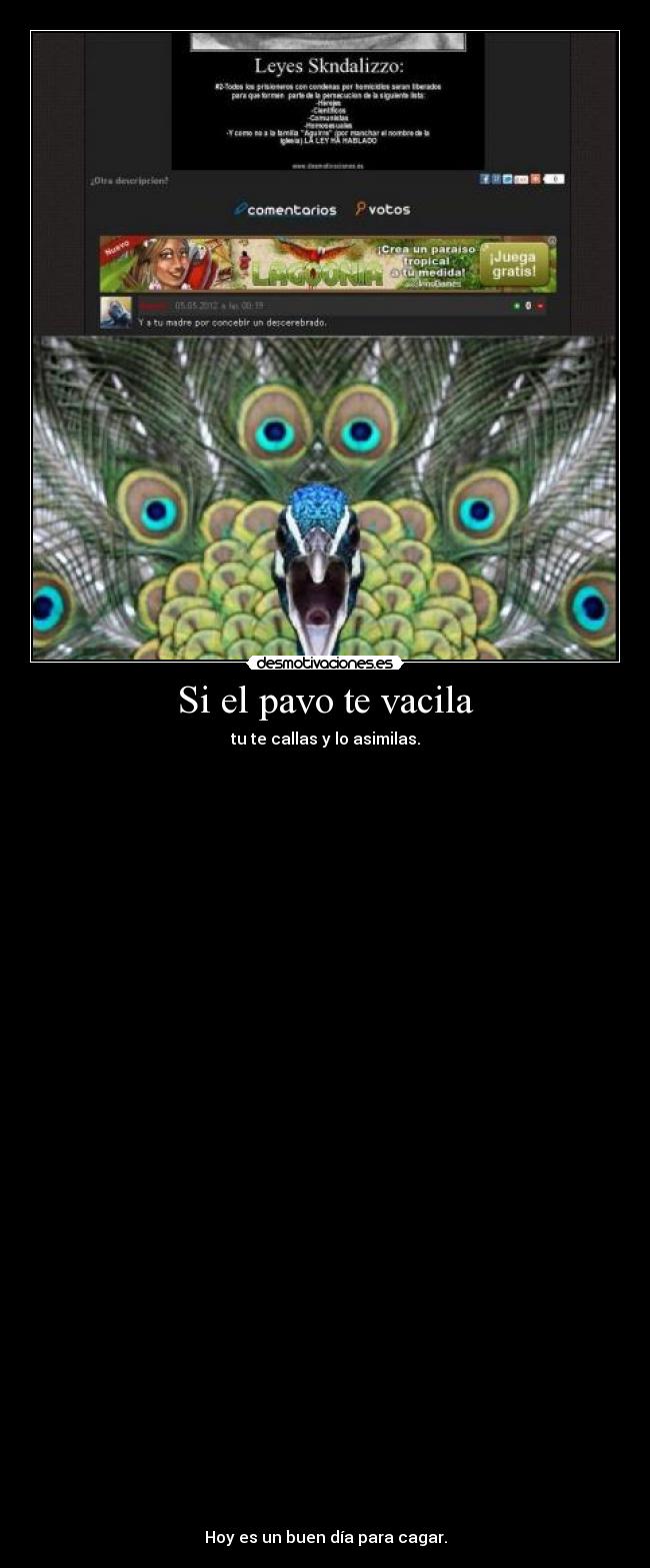 carteles clanquenosirveparanada sroterms hangvidium desmotivaciones