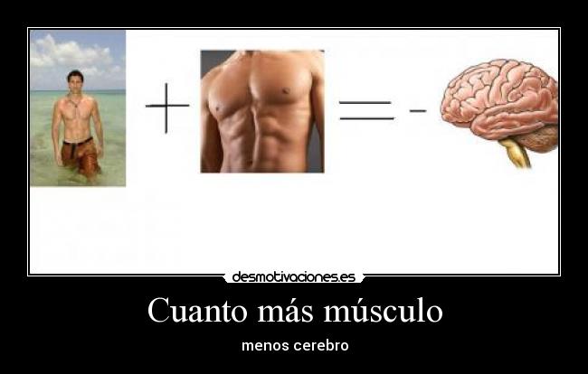 Cuanto más músculo - menos cerebro