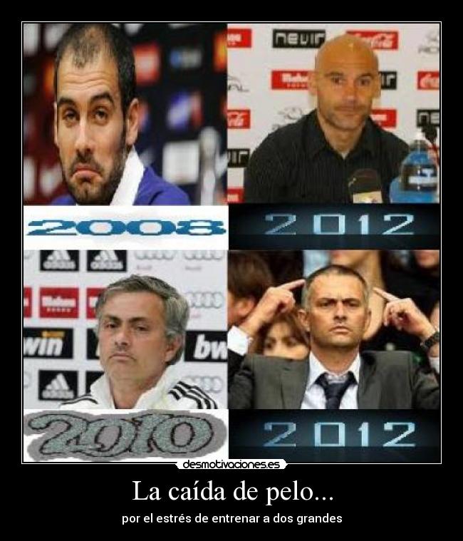 La caída de pelo... - 