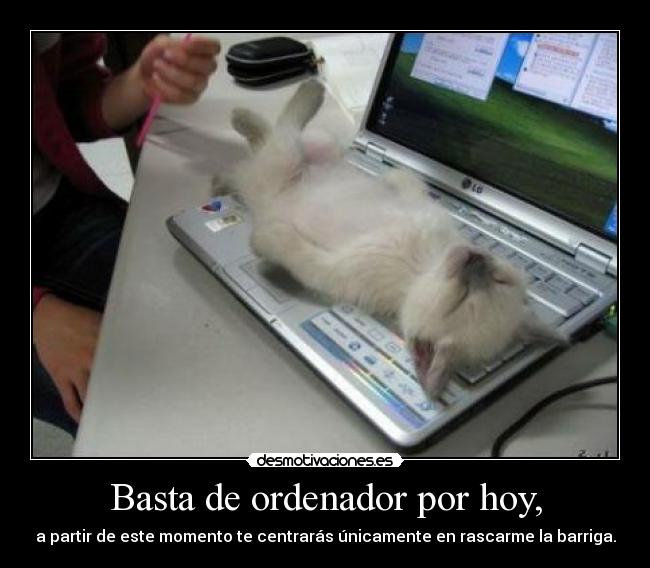 Basta de ordenador por hoy, - a partir de este momento te centrarás únicamente en rascarme la barriga.