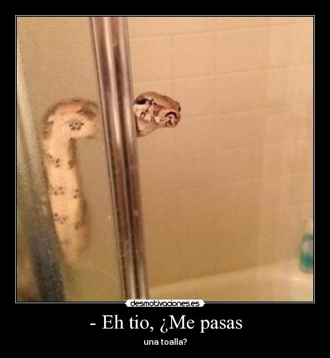 carteles pasas una toalla snake fail bathroom desmotivaciones