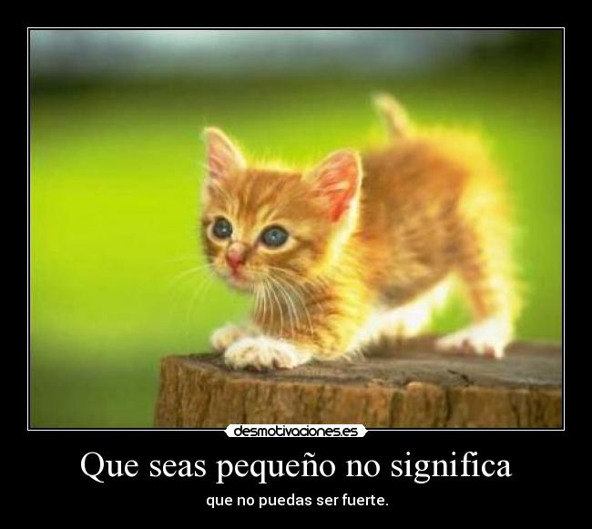 Que seas pequeño no significa - que no puedas ser fuerte.