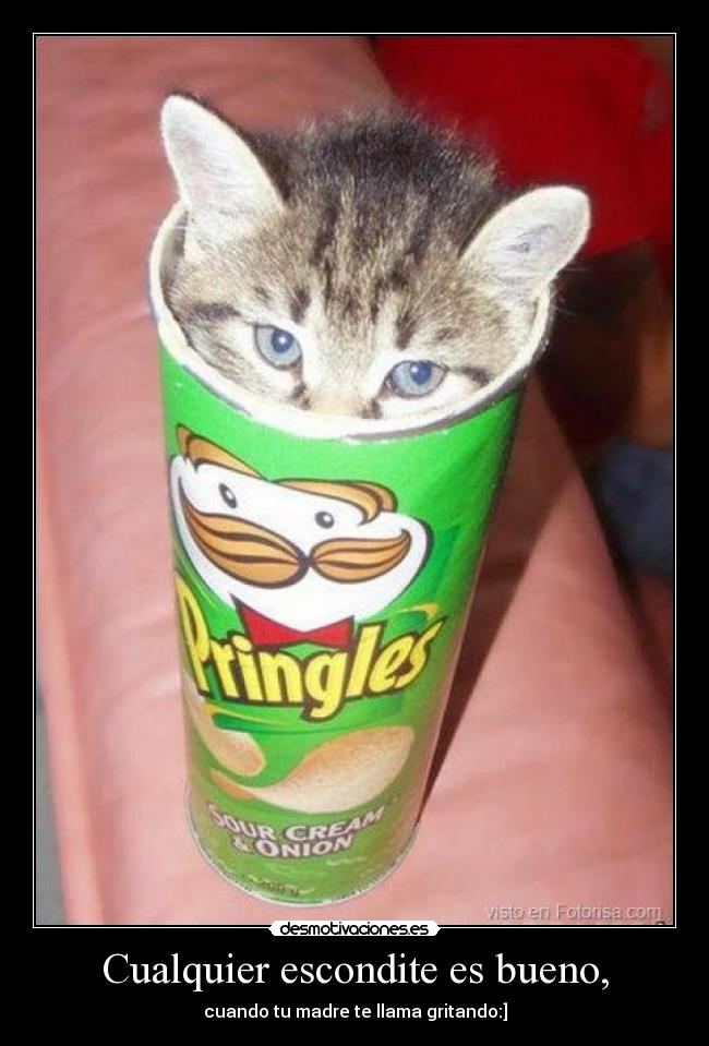 Cualquier escondite es bueno, -
