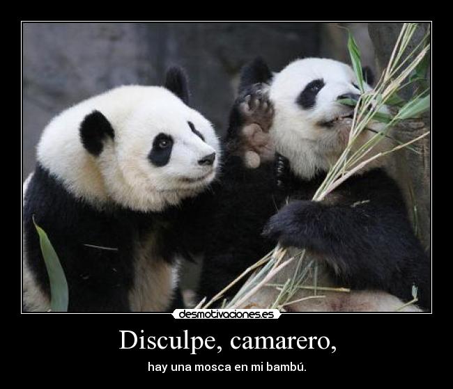 Disculpe, camarero, - hay una mosca en mi bambú.