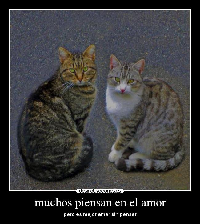 muchos piensan en el amor - pero es mejor amar sin pensar