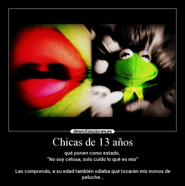 Chicas de 13 años - qué ponen como estado, 
No soy celosa, solo cuido lo qué es mio

Las comprendo, a su edad también odiaba qué tocarán mis monos de peluche...