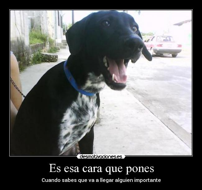 Es esa cara que pones -