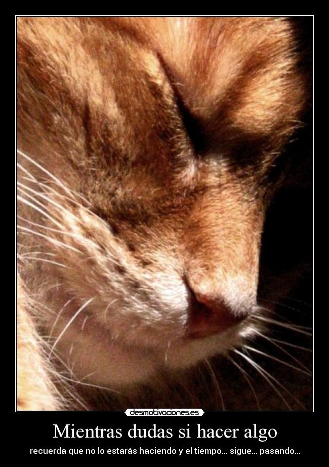 Mientras dudas si hacer algo - recuerda que no lo estarás haciendo y el tiempo... sigue... pasando...