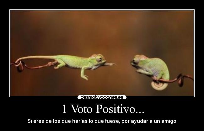 1 Voto Positivo... - Si eres de los que harías lo que fuese, por ayudar a un amigo.