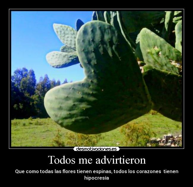 carteles todos advirtieron ley amor desmotivaciones