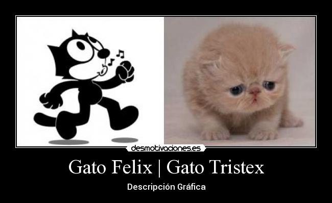 Gato Felix | Gato Tristex - 