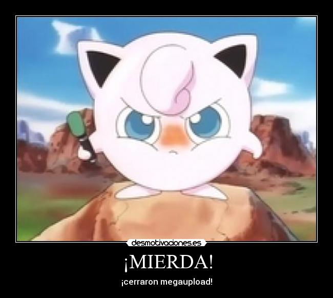 ¡MIERDA! - ¡cerraron megaupload!