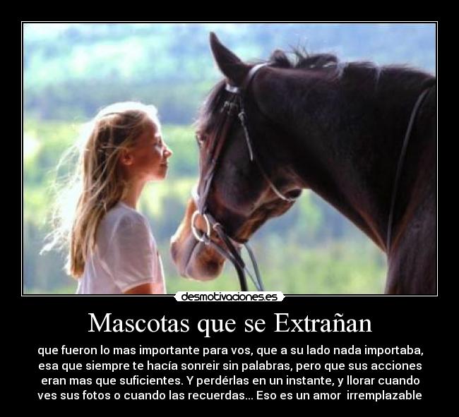 carteles mascotas que extranan desmotivaciones