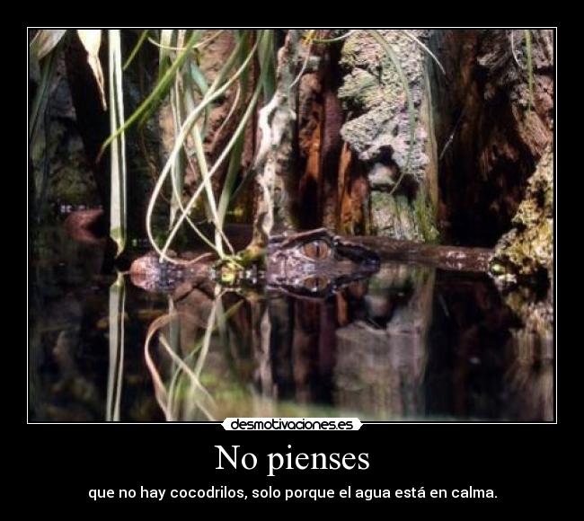 No pienses - que no hay cocodrilos, solo porque el agua está en calma.