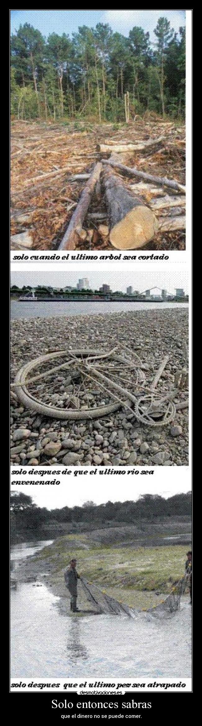 Solo entonces sabras - 