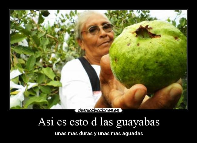 carteles asi esto las guayabas desmotivaciones