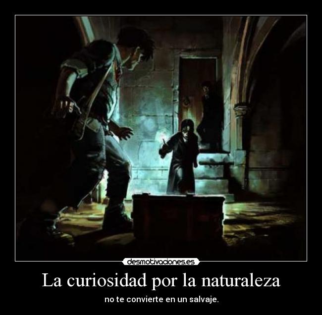 carteles naturaleza pobla23 pobla23harrypotter hagrid tom ryddle pedazo hijo puta gilipollas cabron muerete desmotivaciones