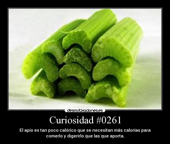 Curiosidad #0261 - 