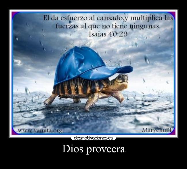 Dios proveera -