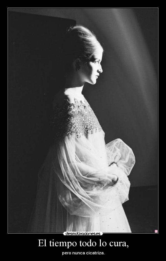 carteles harta sociedad que tiene corazon hecho trizas ariadnap desmotivaciones