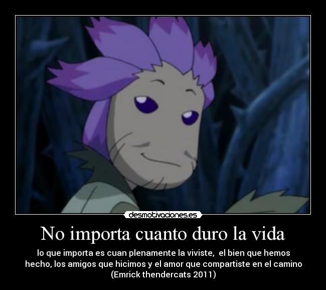 No importa cuanto duro la vida - lo que importa es cuan plenamente la viviste, el bien que hemos
hecho, los amigos que hicimos y el amor que compartiste en el camino
(Emrick thendercats 2011)