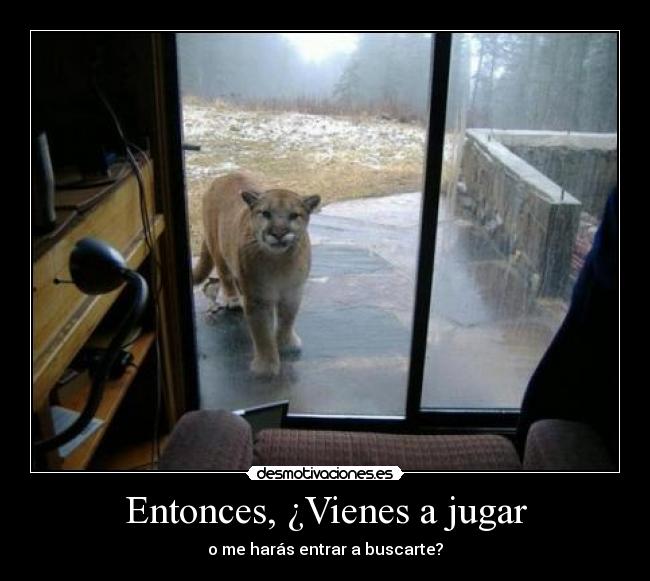 Entonces, ¿Vienes a jugar -