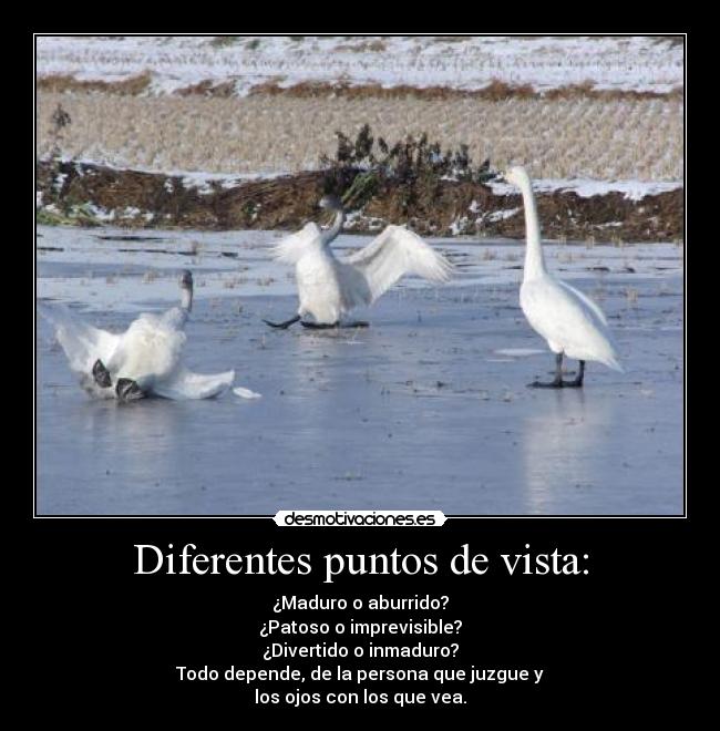Diferentes puntos de vista: - ¿Maduro o aburrido?
¿Patoso o imprevisible?
¿Divertido o inmaduro?
Todo depende, de la persona que juzgue y
los ojos con los que vea.