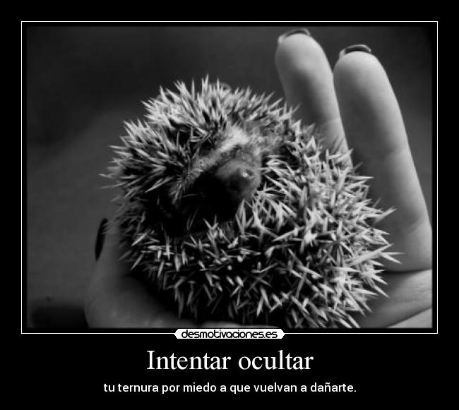 Intentar ocultar -