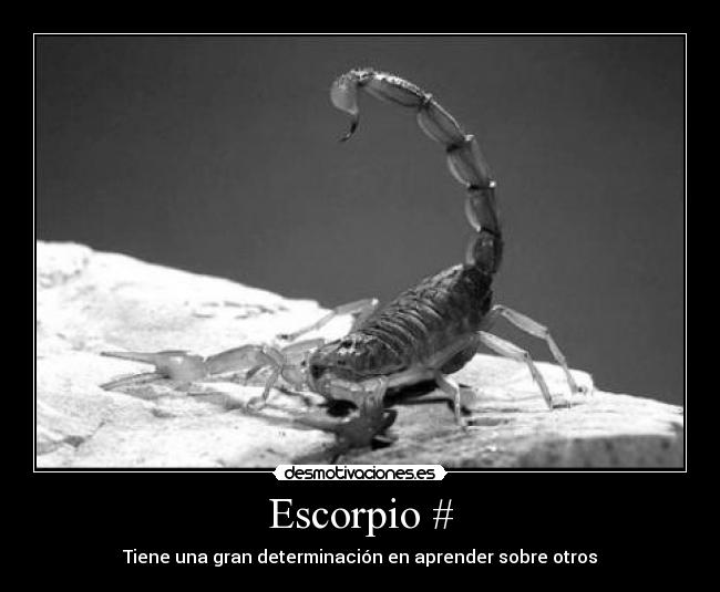 Escorpio # - Tiene una gran determinación en aprender sobre otros