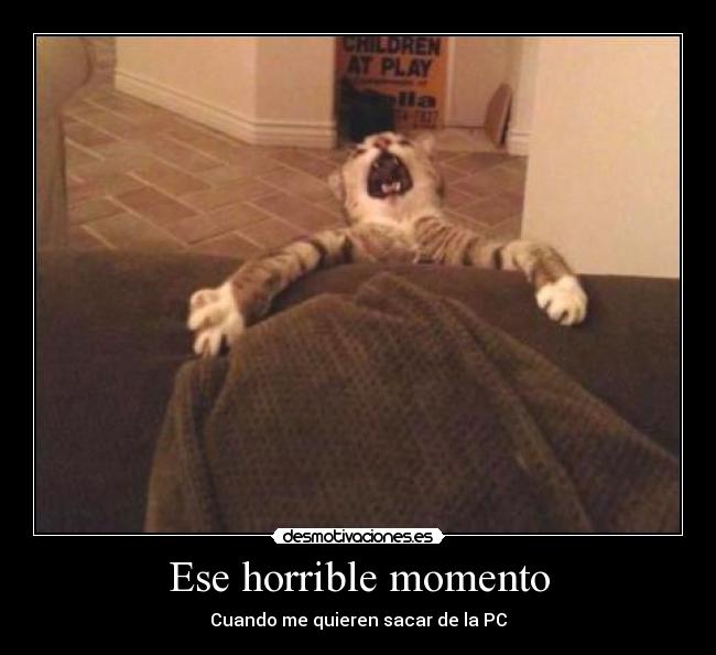 carteles ese momento cuando quieren sacar computadora gatos comiendo arroz desmotivaciones
