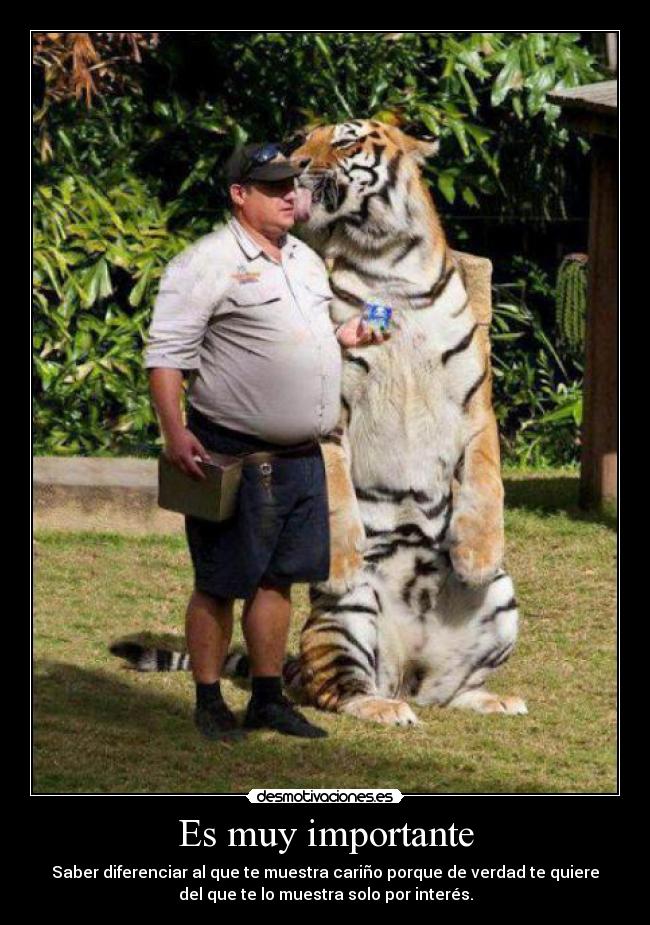 Es muy importante - Saber diferenciar al que te muestra cariño porque de verdad te quiere
del que te lo muestra solo por interés.