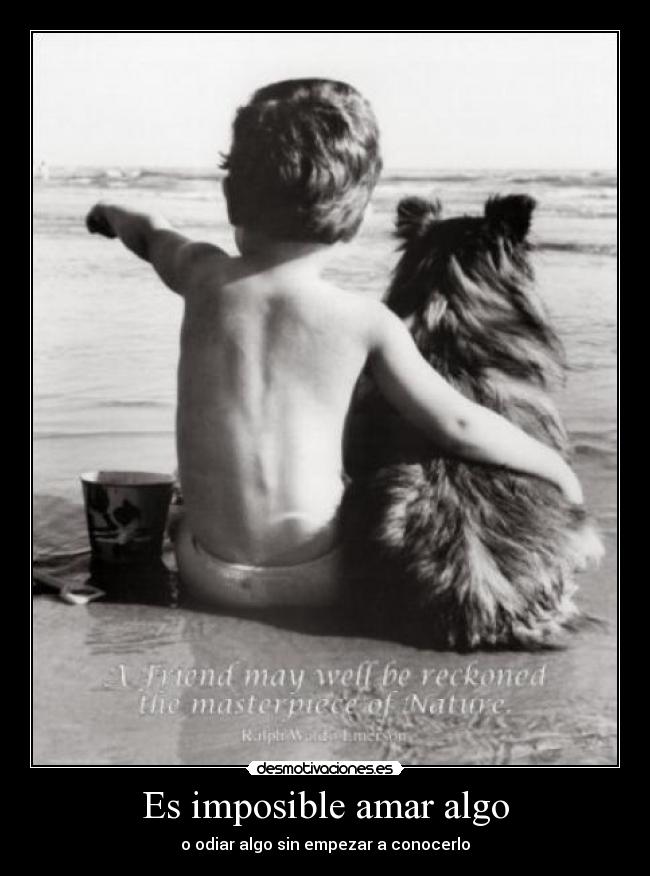 Es imposible amar algo - o odiar algo sin empezar a conocerlo