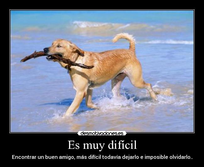 Es muy difícil - Encontrar un buen amigo, más difícil todavía dejarlo e imposible olvidarlo..